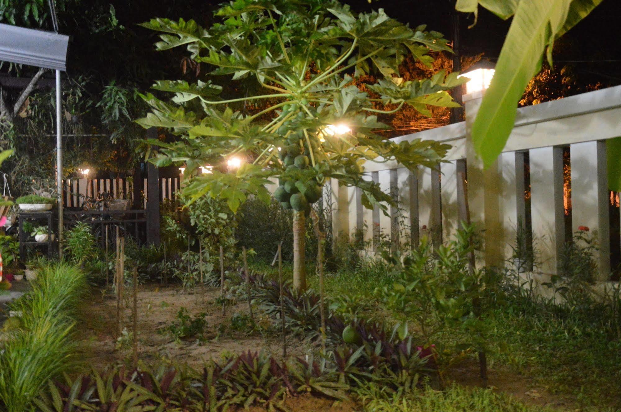 Hoian Joy Homestay Hoi An Exterior foto